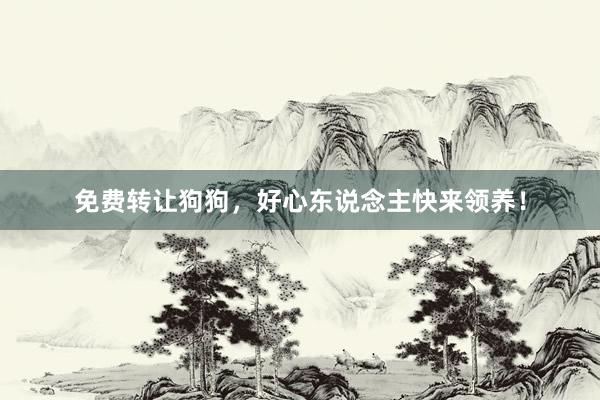 免费转让狗狗，好心东说念主快来领养！